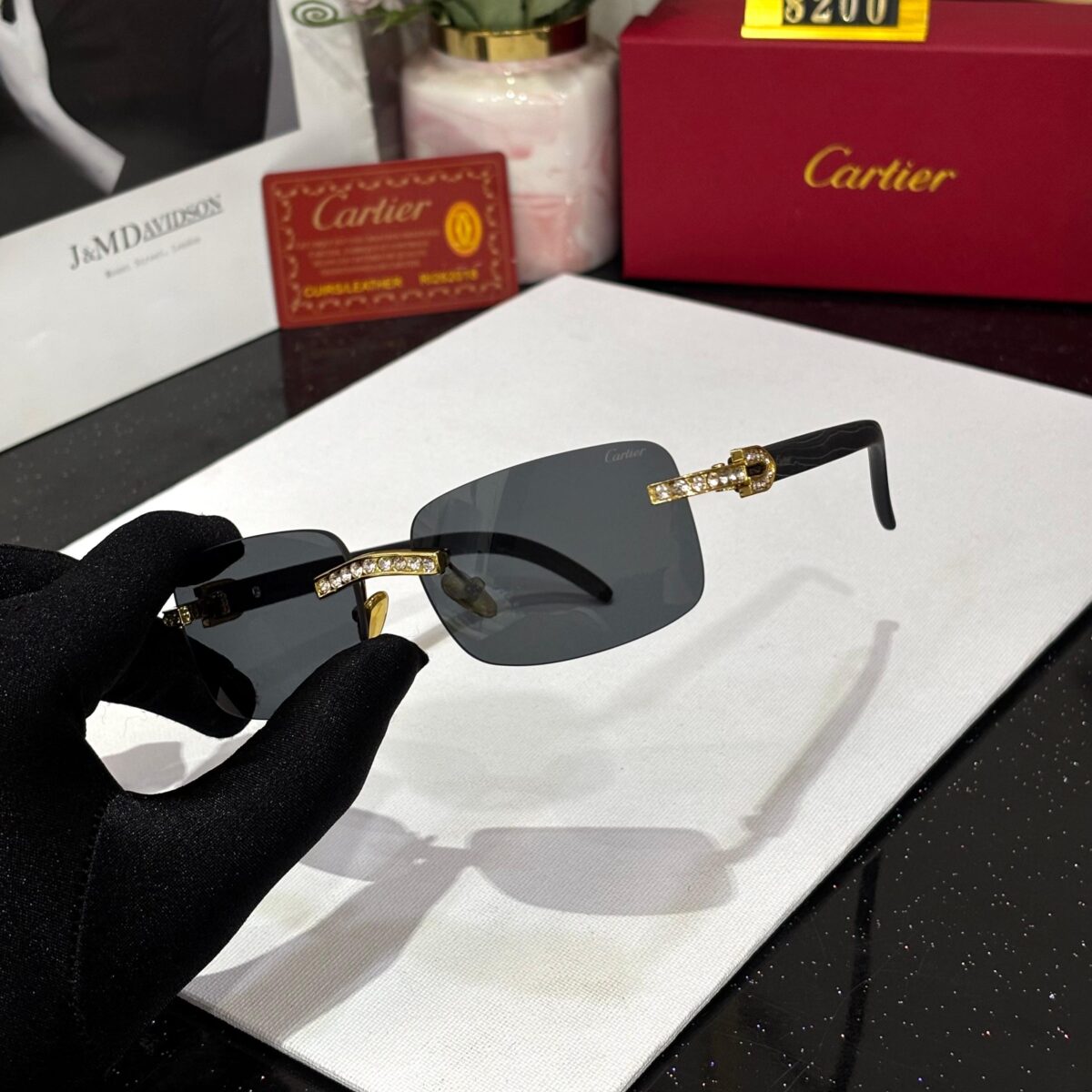 CARTIERR UNISEX UV PROTECTED GLASSES - Image 1